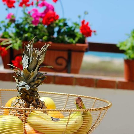 B&B Villa Rosella Petrosino Exteriér fotografie