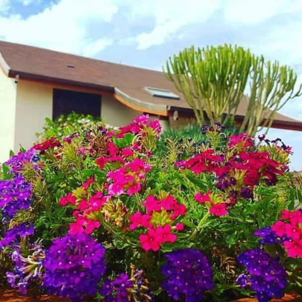 B&B Villa Rosella Petrosino Exteriér fotografie